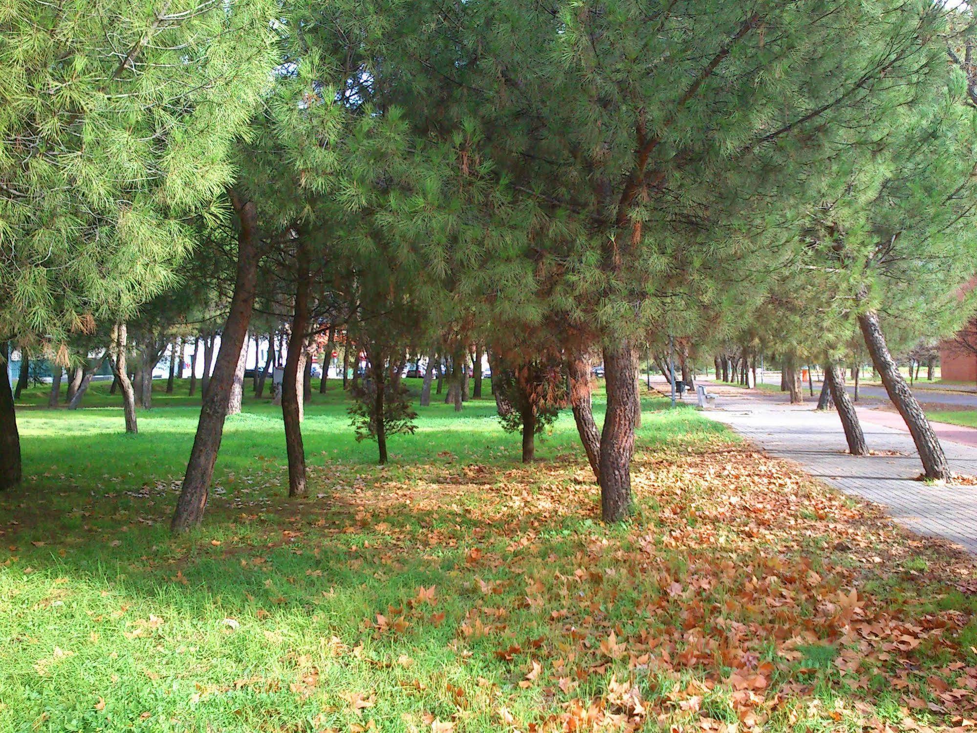 Residencia Universitaria Resa Giner De Los Rios الكالا ذي إِناريس المظهر الخارجي الصورة